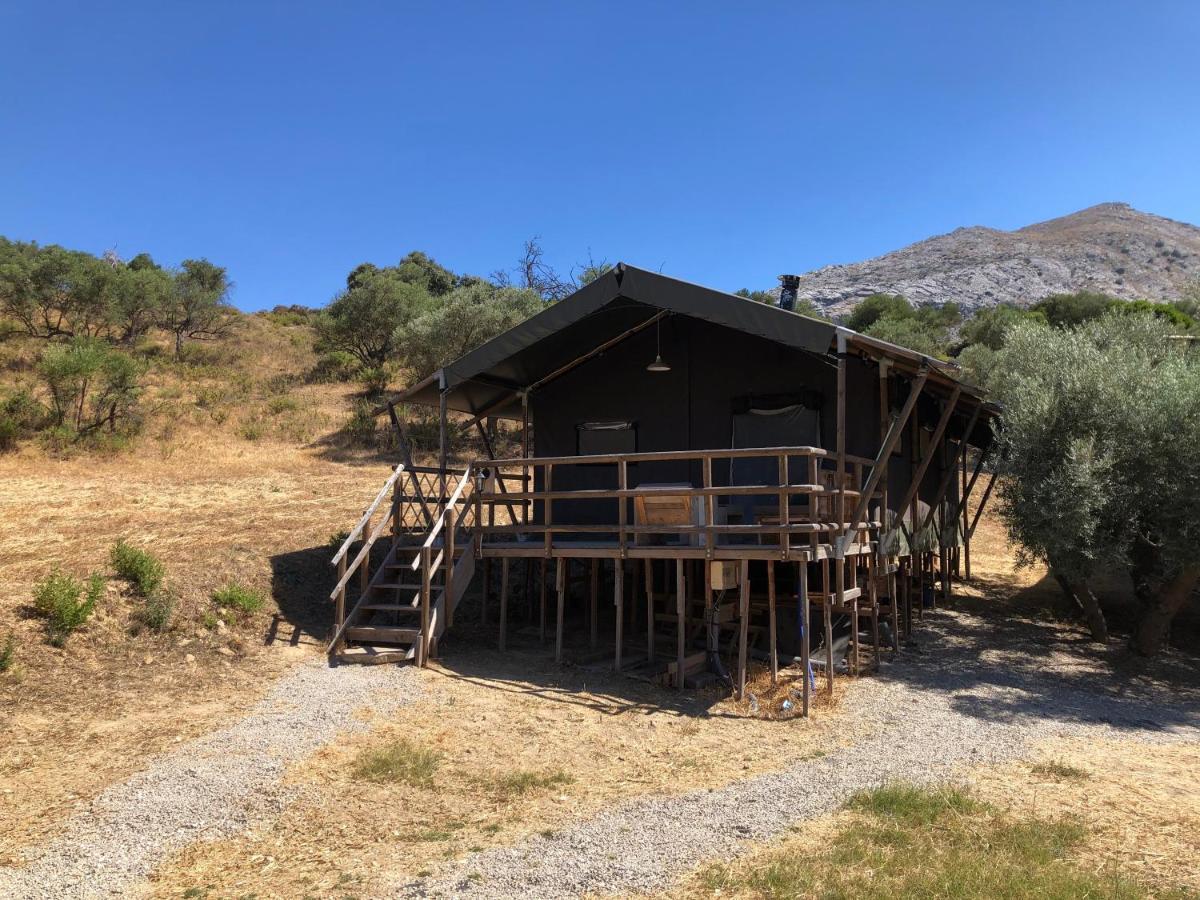 Luxury tent Cortijo Dos Santos Valle de Abdalagis