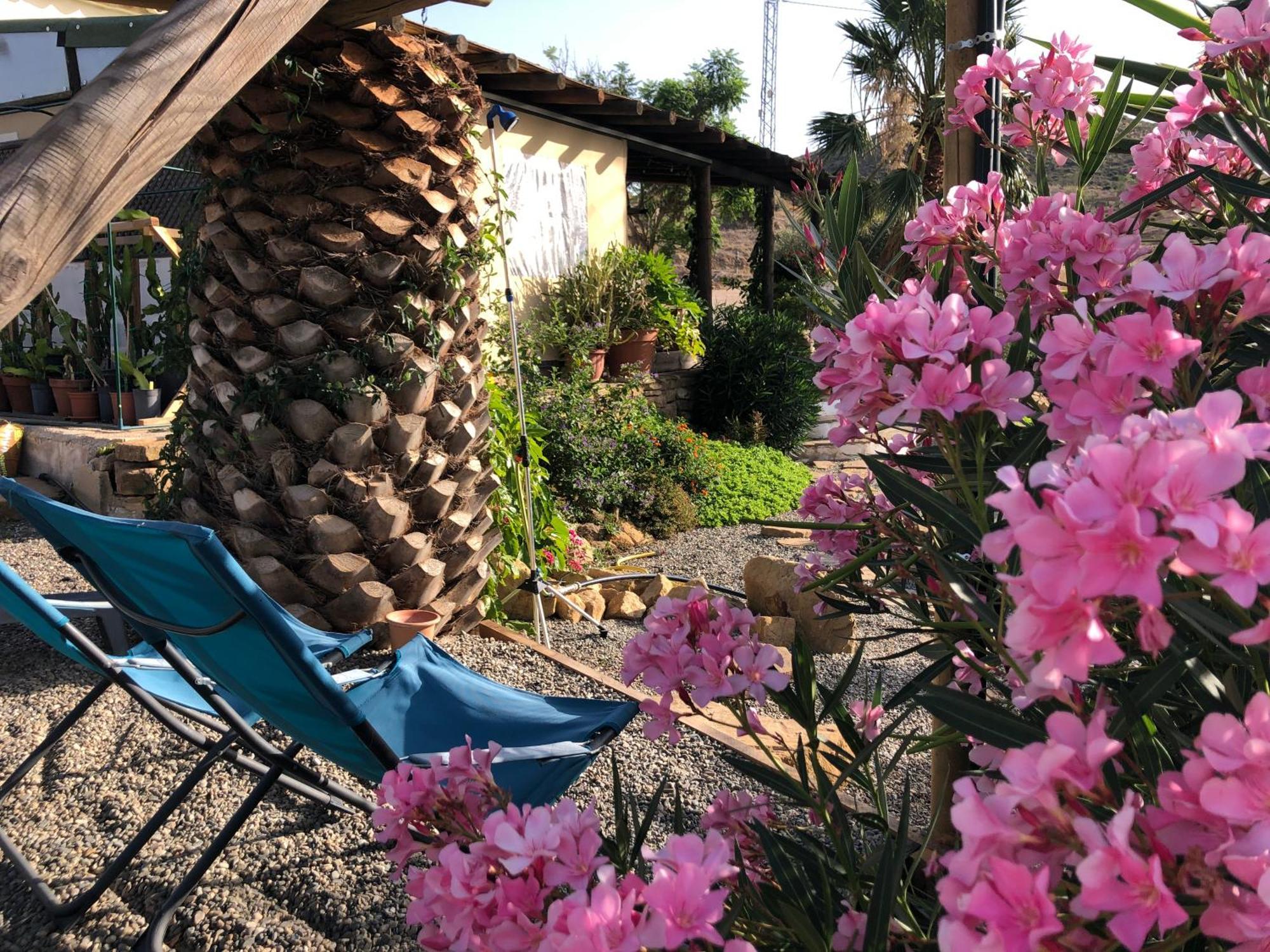 Luxury tent Cortijo Dos Santos *