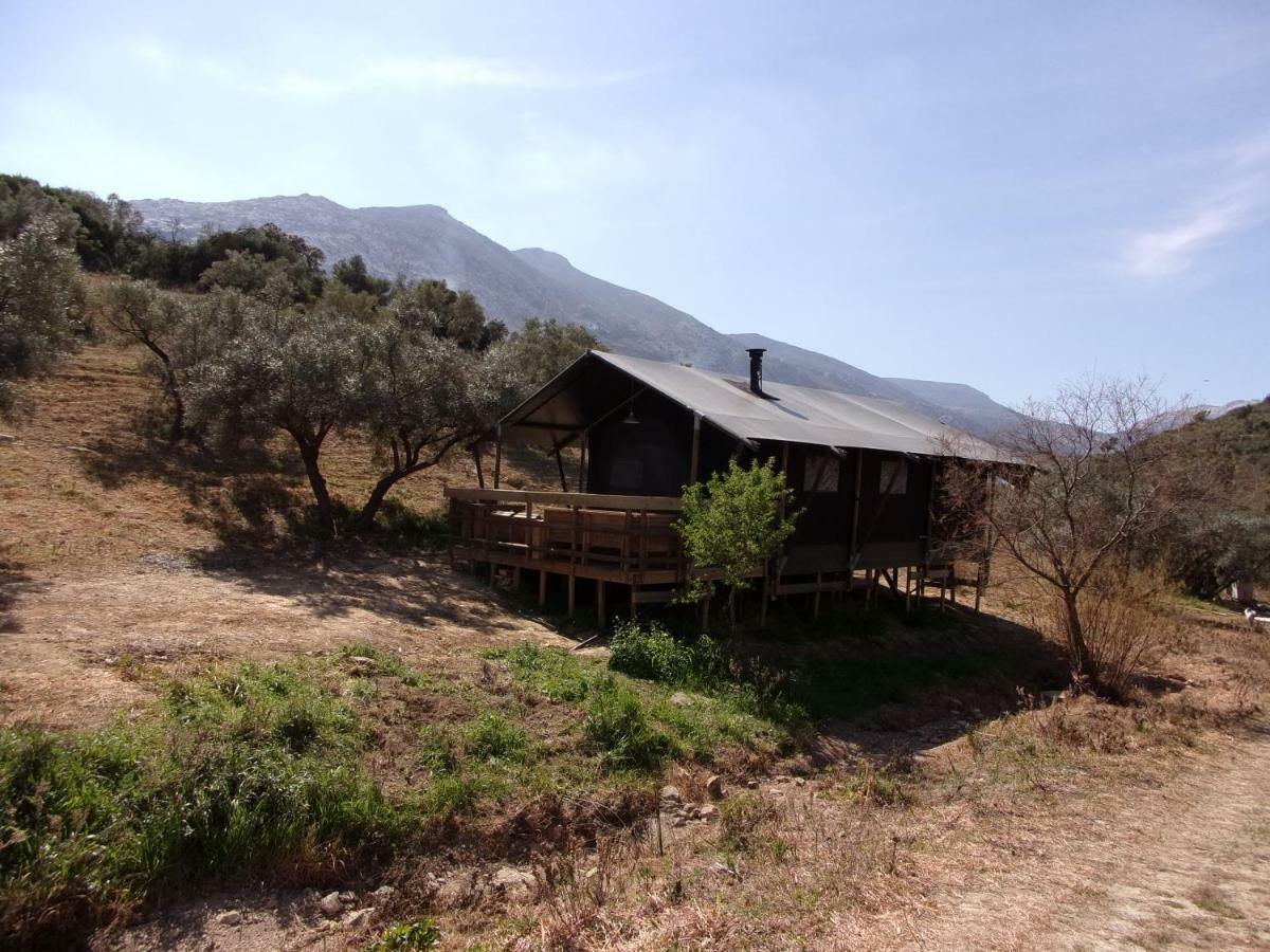 Luxury tent Cortijo Dos Santos Valle de Abdalagis
