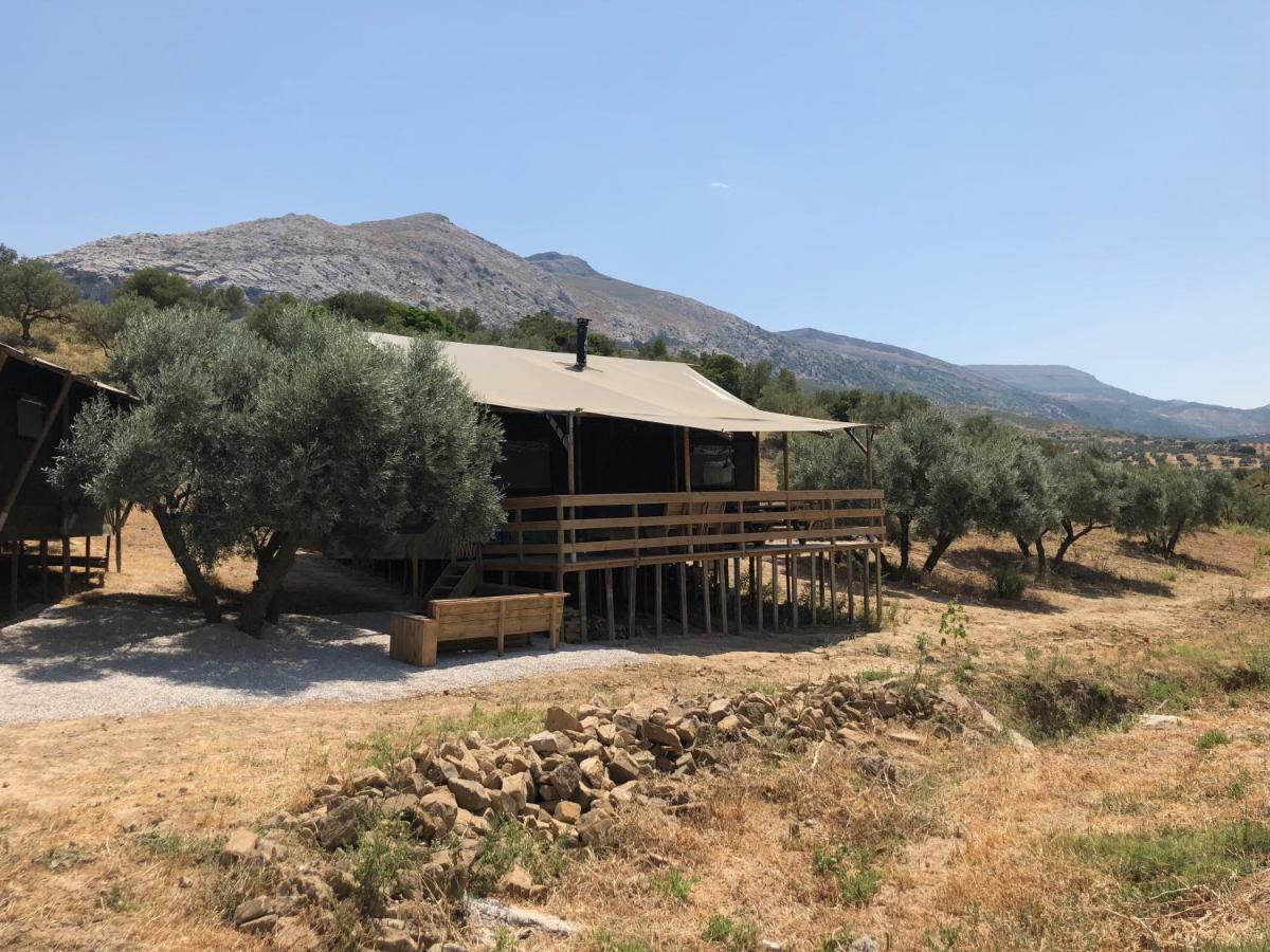 Cortijo Dos Santos Luxury tent *