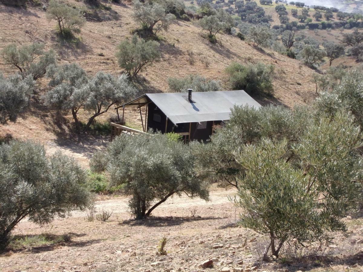 Cortijo Dos Santos